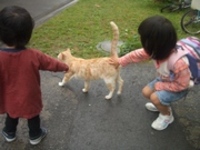 桃太郎の様に 2007/04/25 15:37:00