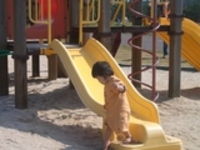 子供の成長 2007/03/21 20:08:00