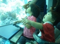 美ら海水族館 2006/11/25 19:53:18