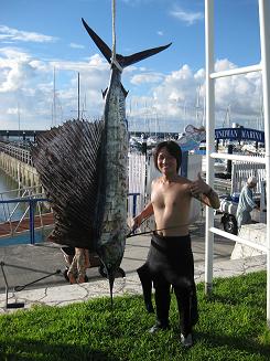 カジキ、２m、２０kg