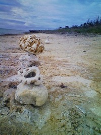 帰島　-半袖半パン- 2008/12/11 23:31:12