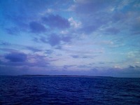 明日から古巣へ　【歴訪】 2008/12/01 21:49:05