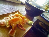 魚達の発送について　＞°))))彡 2009/01/07 15:39:01