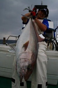 『魚探』完全復活！　ヾ(≧∇≦*)〃ヾ(*≧∇≦)〃 2009/12/14 22:35:57