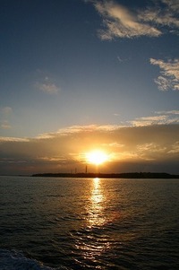 今年もありがとうございました！　(⌒‐⌒) 2009/12/30 15:34:01