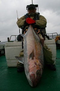 明けましておめでとうございます☆　(⌒‐⌒) 2010/01/21 23:39:55