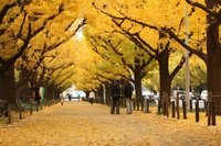 第44回　読書会（11月3日）のご報告