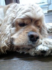 今帰りました 2007/08/25 18:25:17