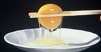 Eggの話