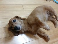 ハラハラドキドキ♪ 2014/09/18 00:32:05