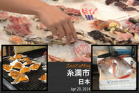 食材を求め 2014/04/29 17:46:47