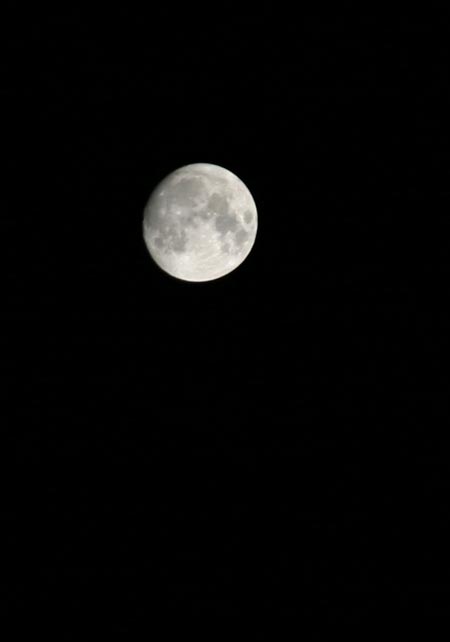 十五夜はまだですが・・