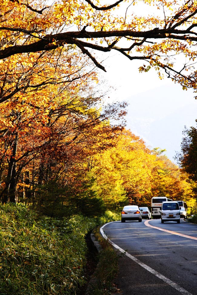 奥日光　紅葉