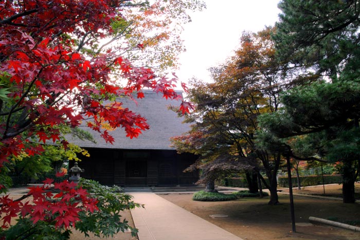 平林寺　紅葉