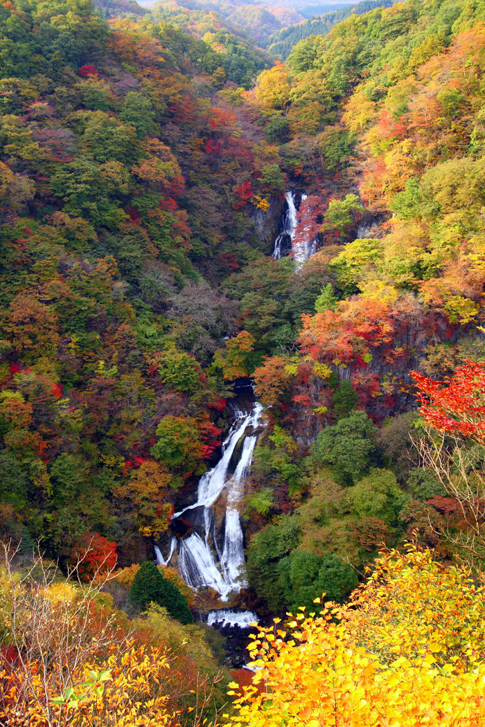 紅葉（関東）＠日光 霧降ノ滝