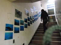 和泊図書館でウミガメ写真展示中
