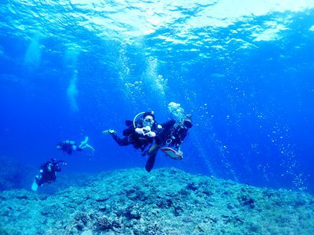 チャーターday3　透明度良好の青く澄んだ海