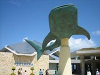 美ら海水族館