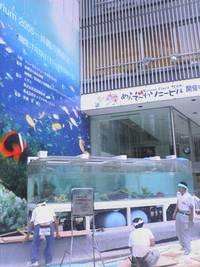 銀座で沖縄 2005/07/19 12:52:00