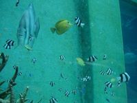 とうとう7月 2006/07/01 11:25:00