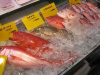 梅雨明け？ 2006/06/20 23:53:29