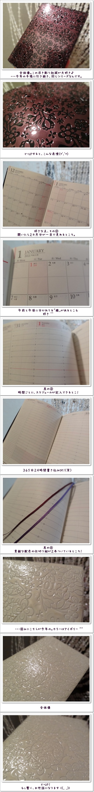 2013 TSUTAYA限定手帳 PAGEM -ペイジェム 購入