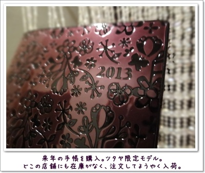 2013 TSUTAYA限定手帳 PAGEM -ペイジェム 購入