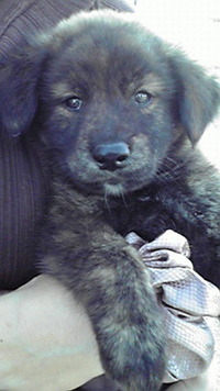 もらう人 2011/11/01 18:06:17