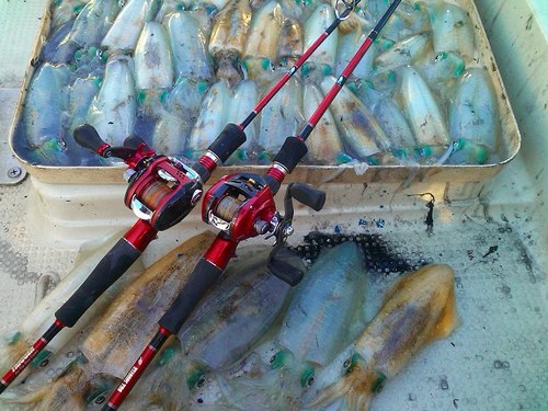 Fishing Paradise 11年09月