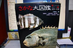 FISHING PARADISE:魚図鑑