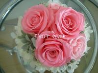 百日と結婚記念日* 2011/05/24 12:47:51