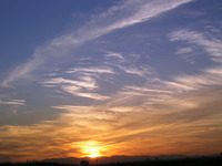 一石二鳥 2009/05/02 23:51:51
