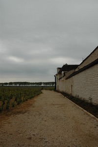 フランス　ブルゴーニュのワイン工場の道＠壁紙写真情報 2007/04/02 21:04:37