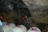 フランス　ブルゴー　ニュのワイン工場　地下室＠壁紙写真情報 2007/05/03 01:26:13