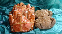 北海道 2008/02/11 23:36:48