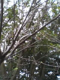 おじさんごめんなさい・・・ 2007/11/04 17:34:23