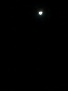 夜明けの月