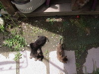 真上から 2005/12/29 20:26:55