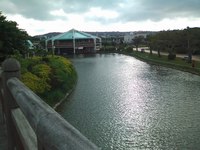 泡 2010/07/04 15:15:00