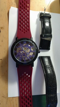スケルトン