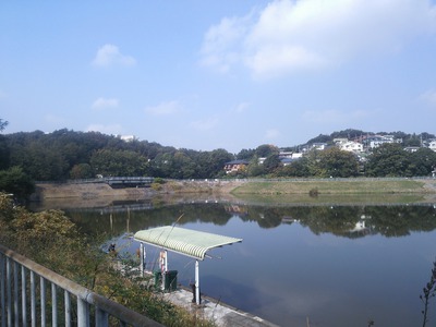 雨池　釣り場