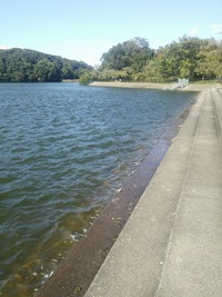 平和公園　池 2016/02/04 15:53:22