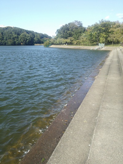 平和公園　池