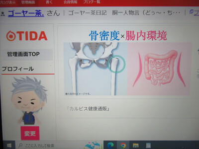 グーグル Ｃｈｒｏｍｅって広告が嫌だね～
