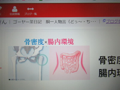 グーグル Ｃｈｒｏｍｅって広告が嫌だね～