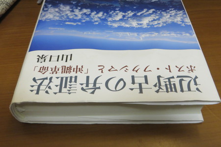 山口泉 辺野古の弁証法 １ ゴーヤー茶日記 胴一人物言 どぅ ちゅい むに