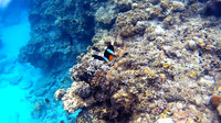 2015沖縄旅行　まとめ雑感 2015/07/14 00:18:16