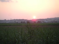 自分の目は自分で守る 2007/07/29 14:48:52