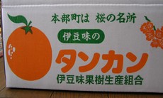 タンカン。