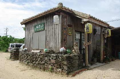 竹の子。